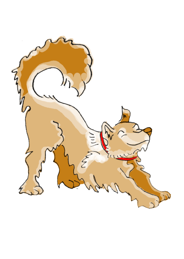 Chien senior plus agile