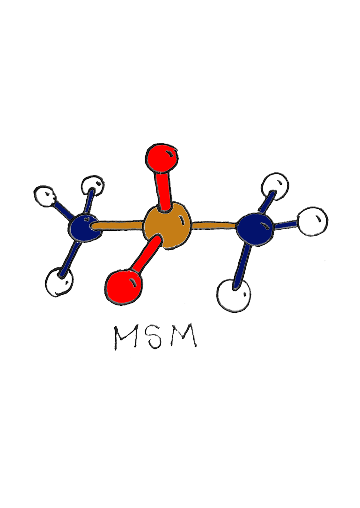 Méthyl-Sulfonyl-Méthane (MSM)