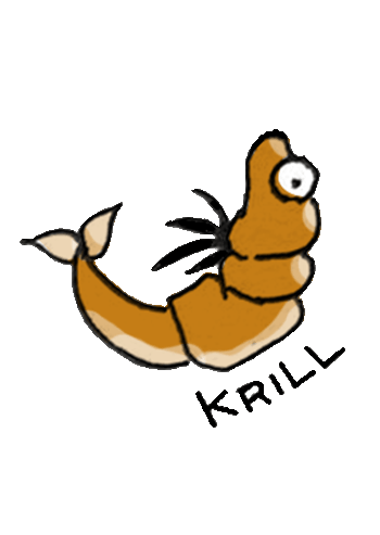Krill